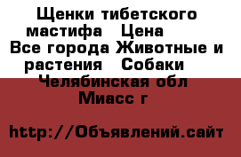 Щенки тибетского мастифа › Цена ­ 80 - Все города Животные и растения » Собаки   . Челябинская обл.,Миасс г.
